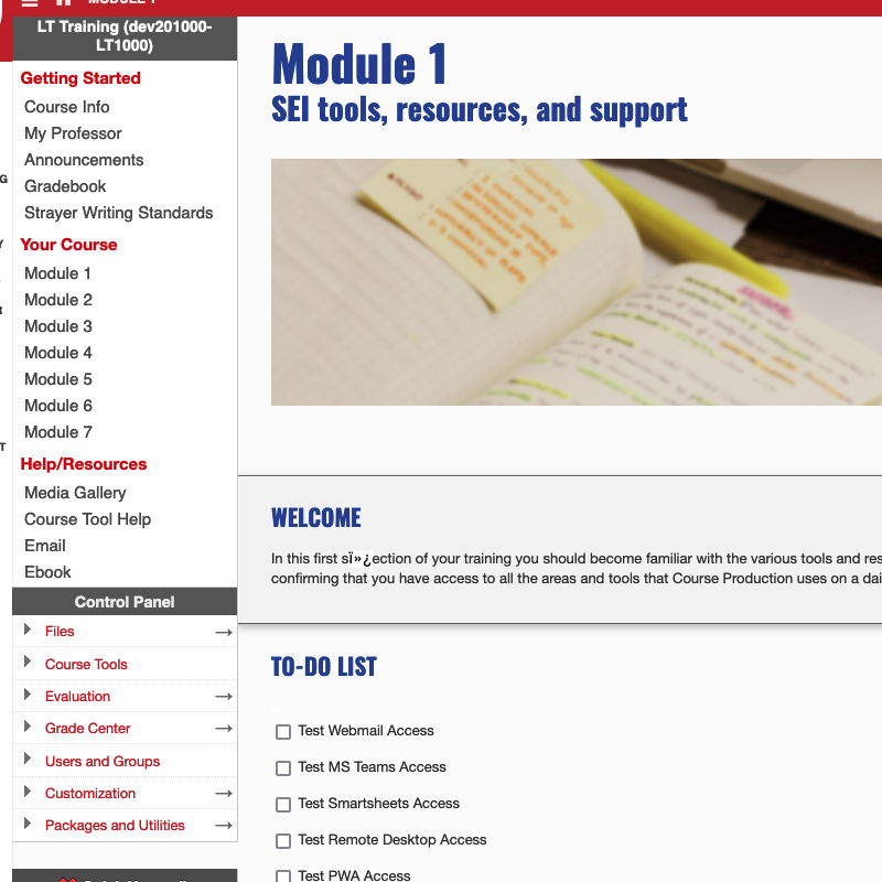 screencapture of blackboard online training course